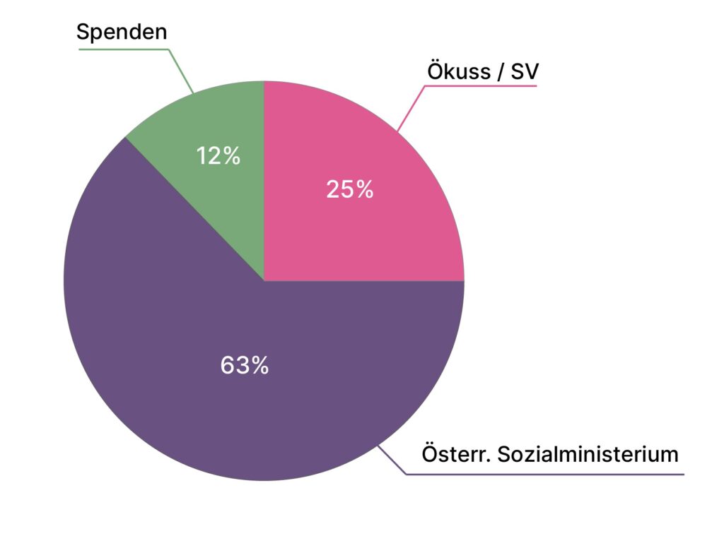 Diagramm Finanzierung 2023